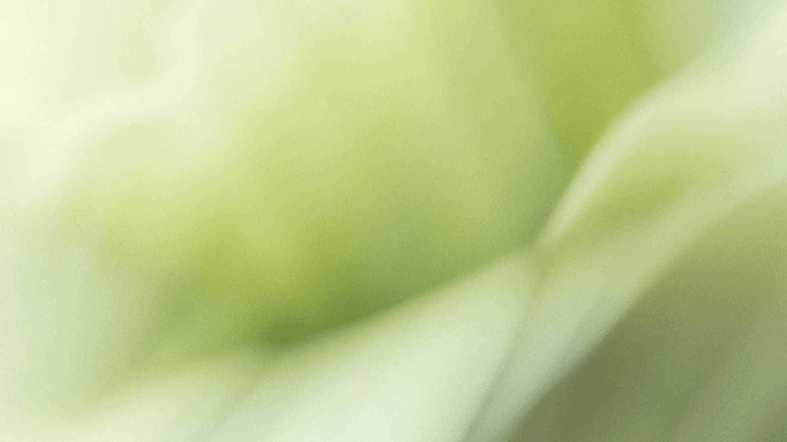 OpenAI Establishes $50M Community Fund for Nonprofits