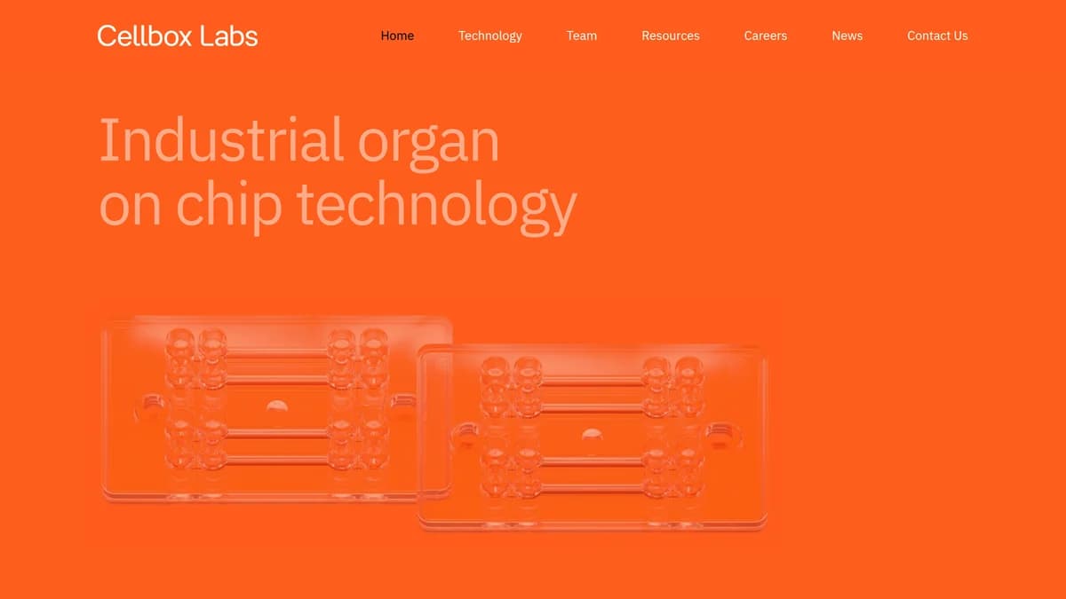 Latvian Cellbox Labs Lands €3.3M for Organ-on-Chip Innovation