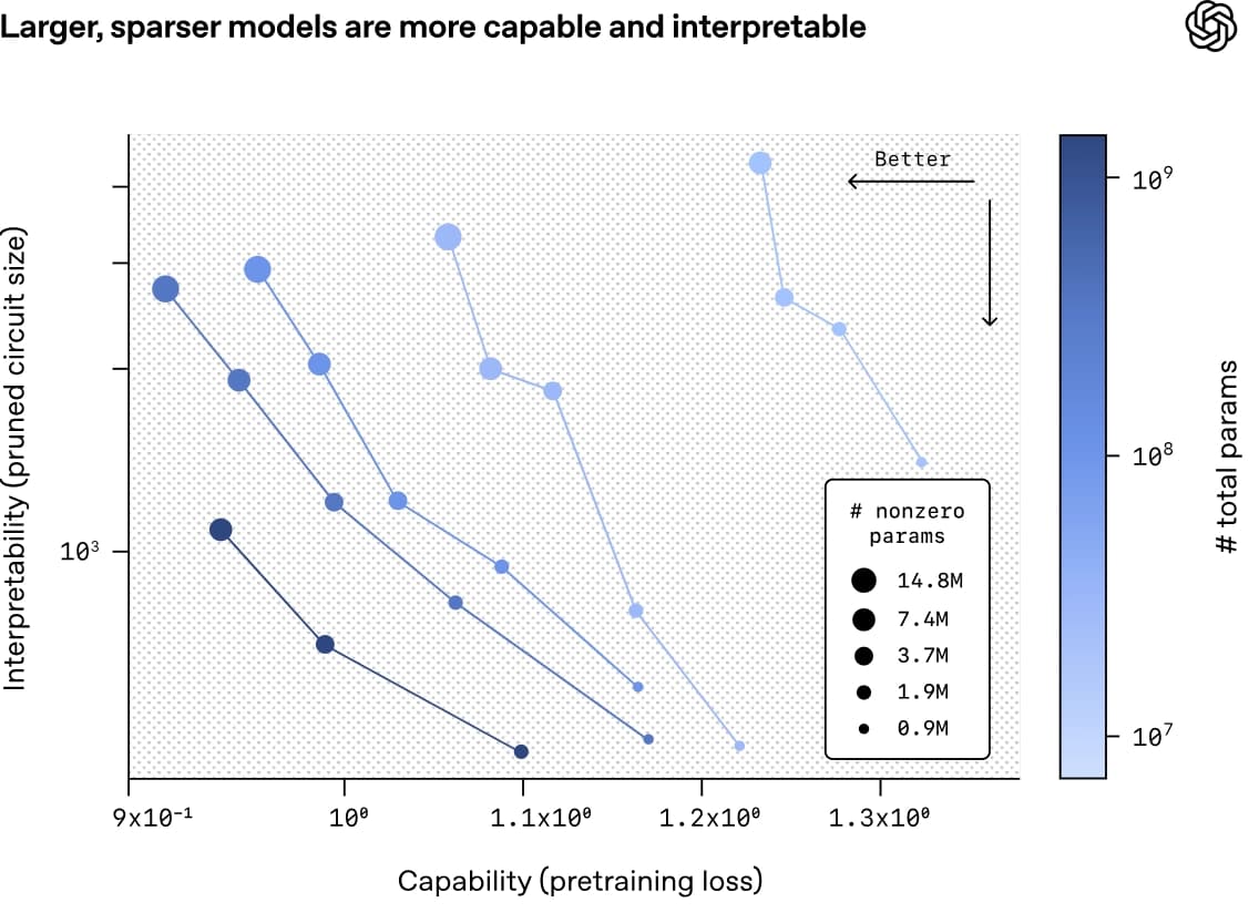 Cracking the Black Box: The Promise of Sparse Neural Networks