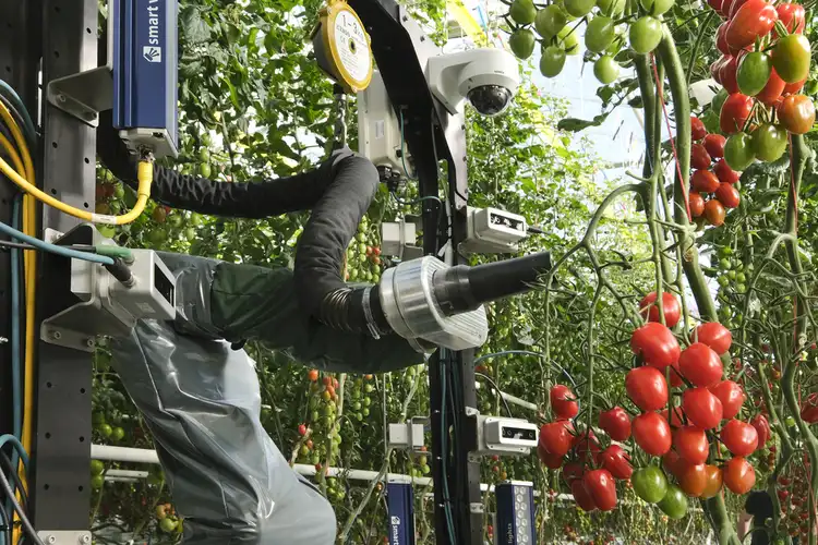 Four Growers Secures $9M to Optimize $40B Indoor Farming Market