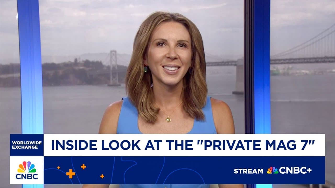 Private AI valuations