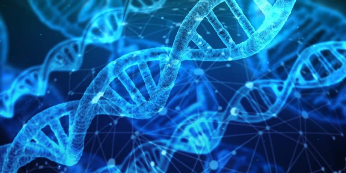 The DNA of Serial AI Entrepreneurs