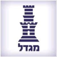 Migdal Insurance