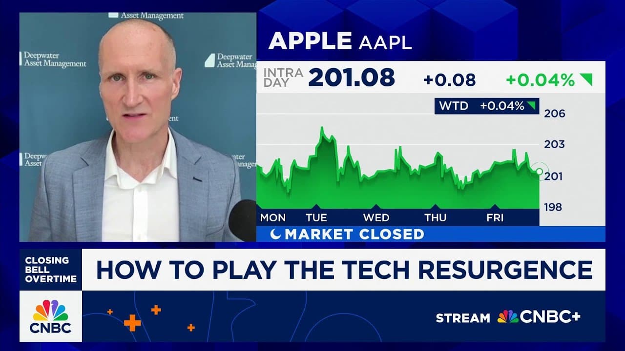 Wall Street Investor Says AI Still Inchoate