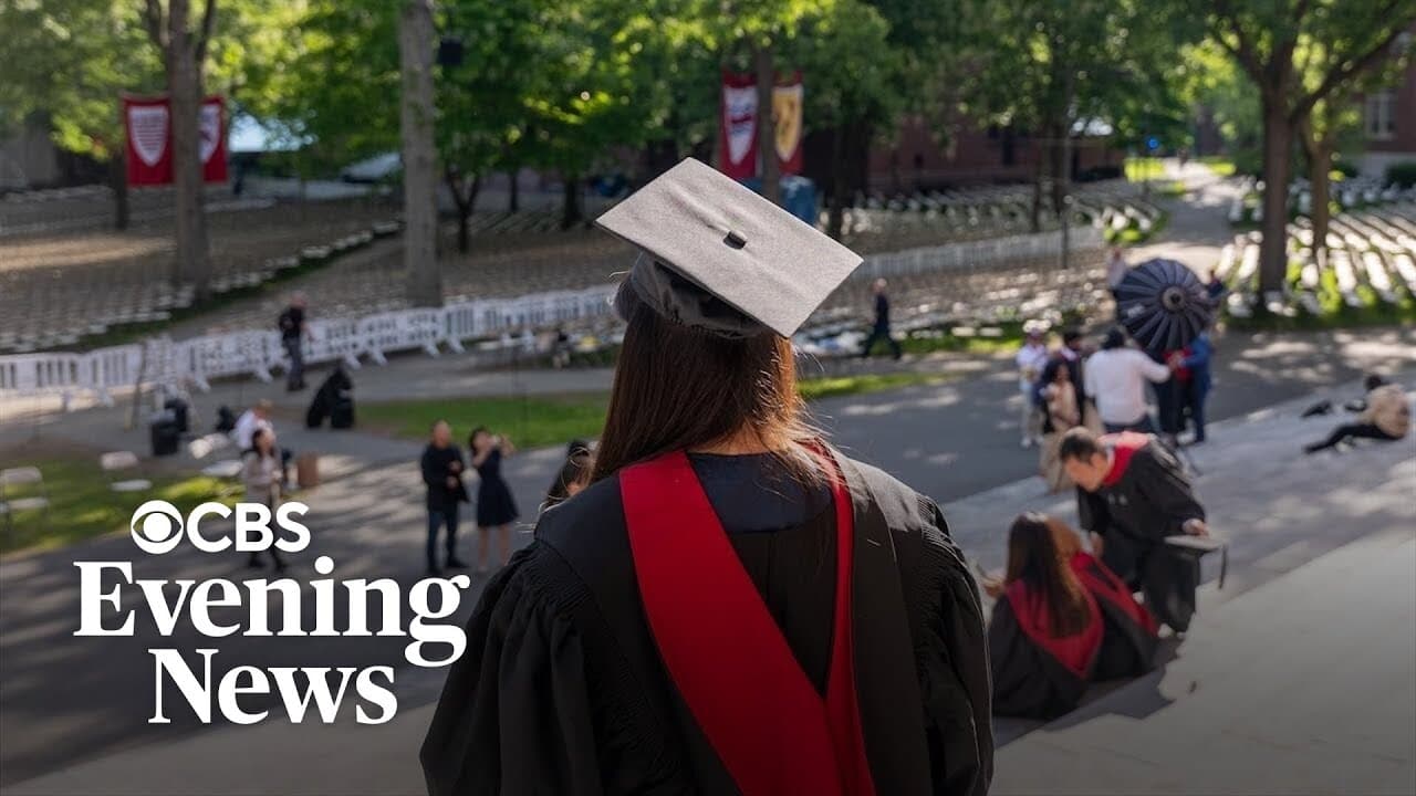 AI's Unseen Hand: The Shifting Landscape of Entry-Level Employment