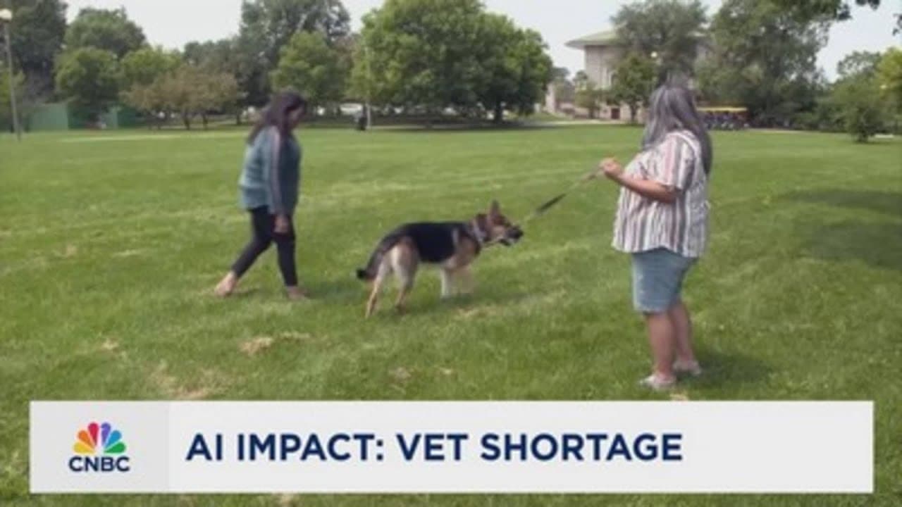 AI impact vet shortage