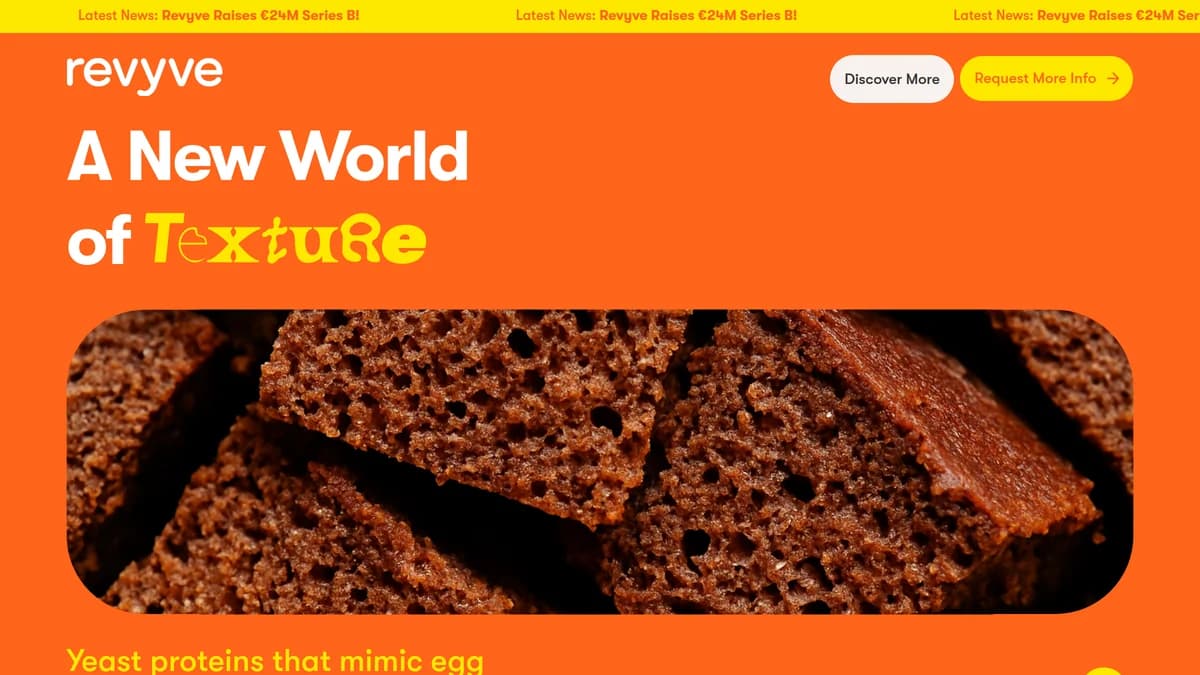 Screenshot of Revyve Series B