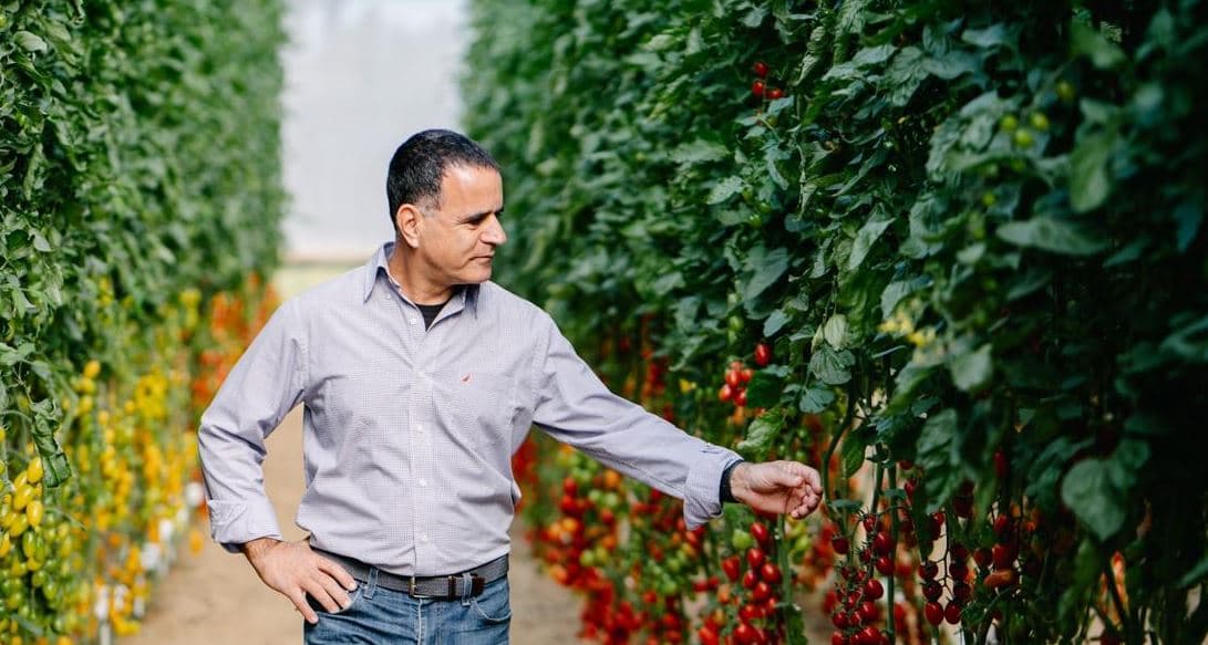 Harmoniz sets out to redefine the global greenhouse seeds market