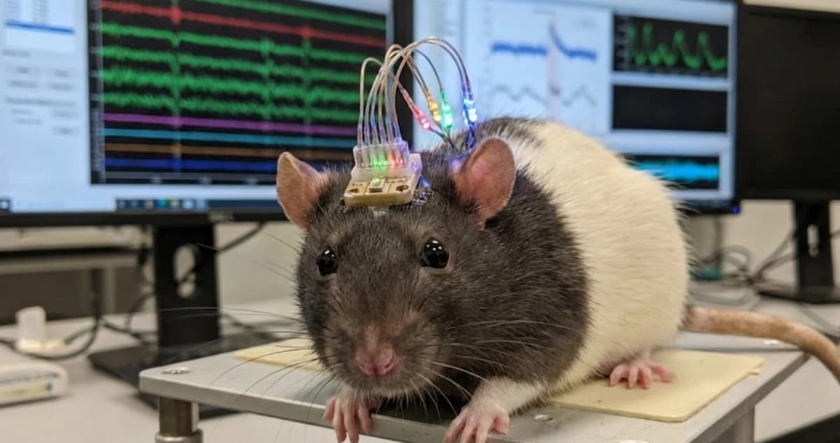 Merge Labs Funding: The $252M Bet on Linking Brains to AI