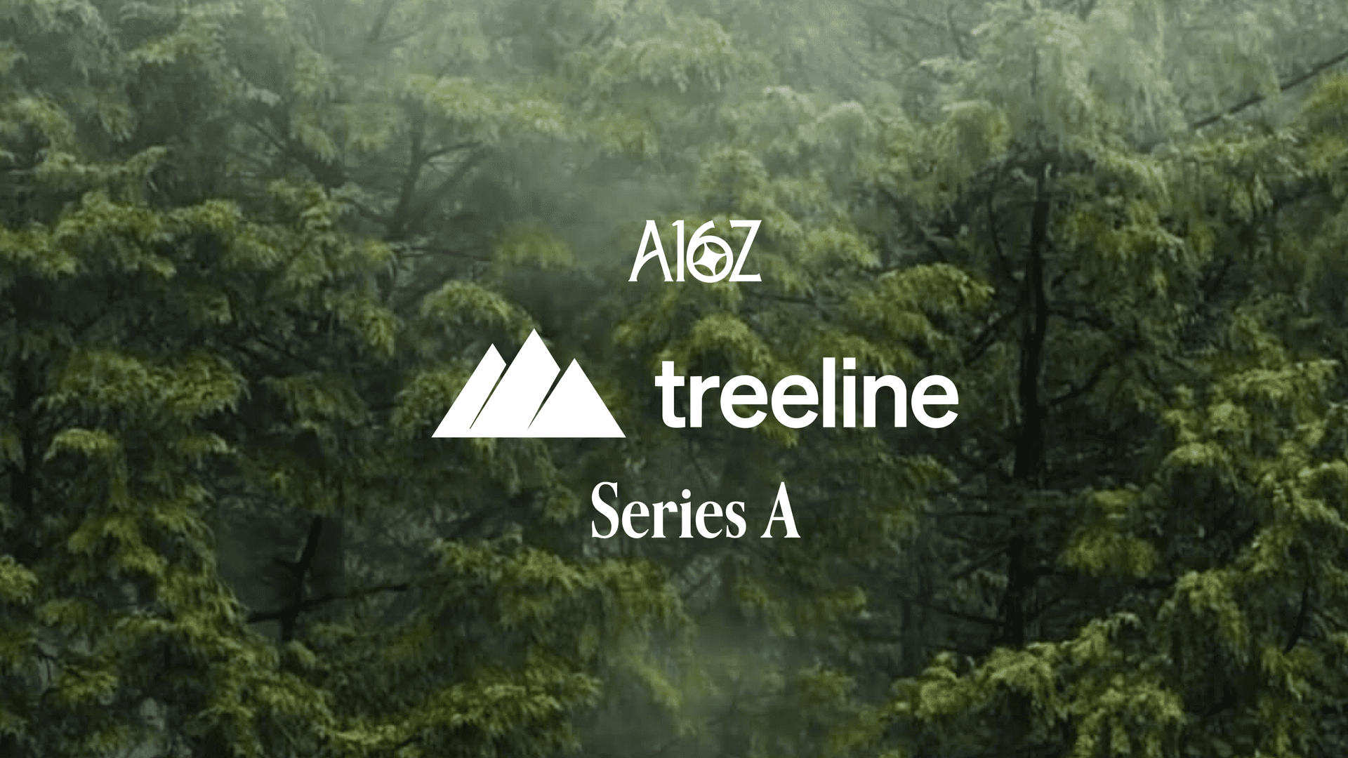 Treeline logo with a background suggesting technology and growth